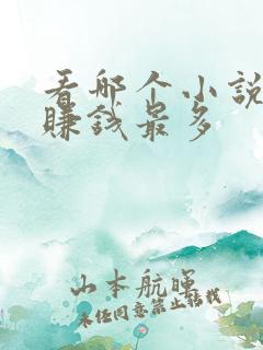 看哪个小说软件赚钱最多