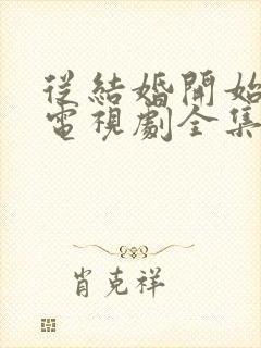 从结婚开始恋爱电视剧全集