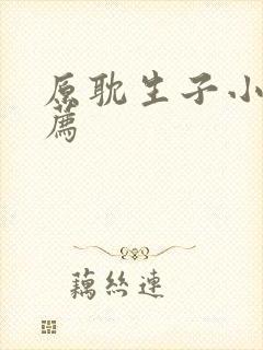 原耽生子小说推荐