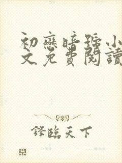 初恋暗号小说全文免费阅读