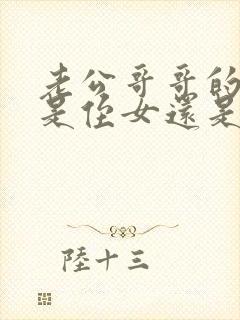 老公哥哥的女儿是侄女还是外甥