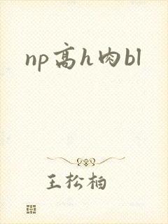 np高h肉bl