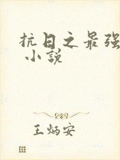 抗日之最强战兵 小说