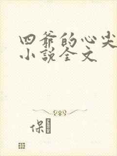 四爷的心尖宠妃小说全文