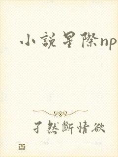 小说星际np