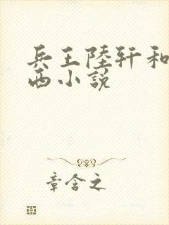 兵王陆轩和宁宛西小说