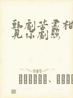 韩剧苦尽柑来遇见你剧照