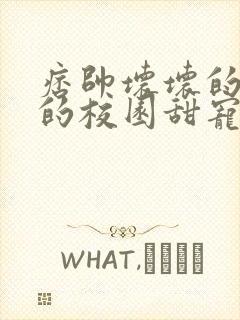 痞帅坏坏的校霸的校园甜宠文