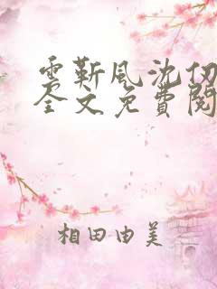 云靳风沈仞小说全文免费阅读