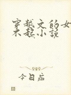 穿越文的女主伤不起小说