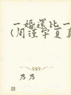一婚还比一婚高(周瑾宇夏真钰)