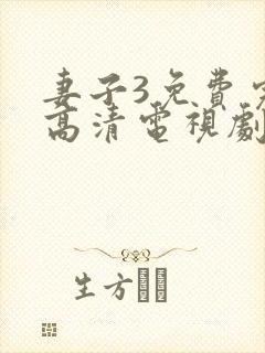 妻子3免费完整高清电视剧在线看