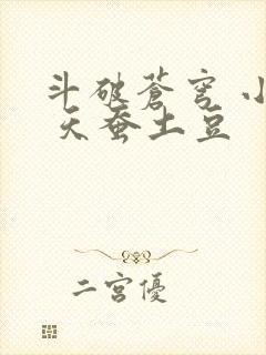 斗破苍穹 小说 天蚕土豆