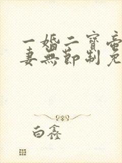 一婚二宝帝少宠妻无节制免费阅读