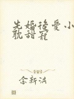 先婚后爱小说原耽甜宠