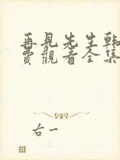 再见先生韩剧免费观看全集