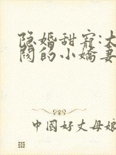 隐婚甜宠:大财阀的小娇妻