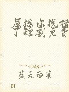 厉总你找错夫人了短剧免费全集在线观看