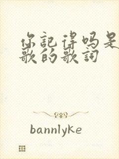 你记得吗是哪首歌的歌词