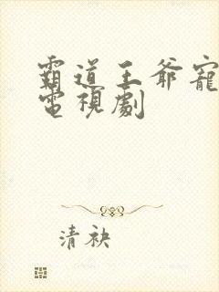 霸道王爷宠妻的电视剧