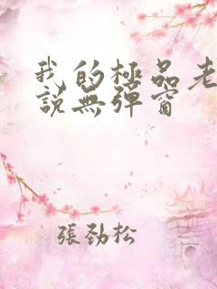 我的极品老婆小说无弹窗