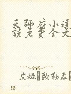 天师府小道士小说免费全文阅读