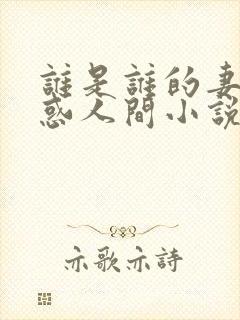 谁是谁的妻子魅惑人间小说在线阅读