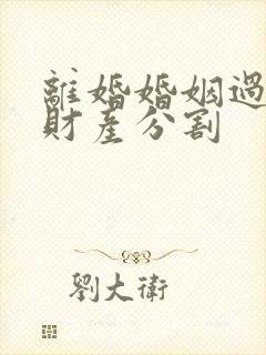 离婚婚姻过错方财产分割