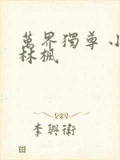 万界独尊 小说林枫