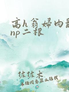 高h翁妇肉乱文np二根
