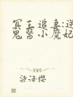 冥王追妻:逆天鬼医小魔妃