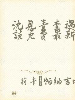 沈见青李遇泽小说免费最新章节阅读