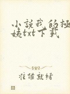 小说我的极品小姨txt下载