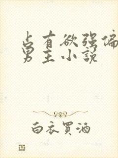 占有欲强偏执双男主小说