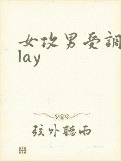 女攻男受调教play