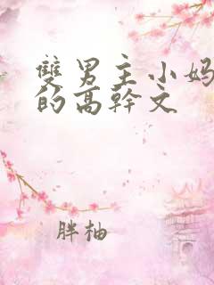 双男主小妈文学的高干文
