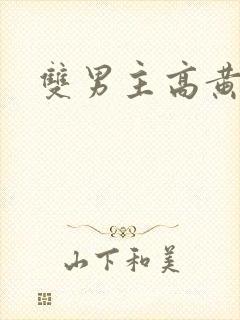 双男主高黄双性