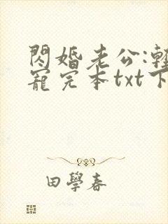 闪婚老公:轻点宠完本txt下载