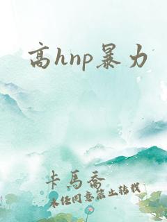 高hnp暴力