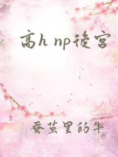 高h np后宫
