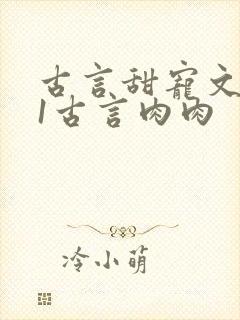 古言甜宠文1v1古言肉肉