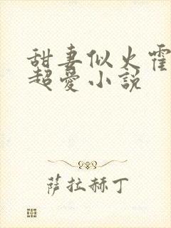 甜妻似火霍爷他超爱小说