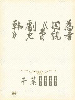 韩剧《因为是你》免费观看