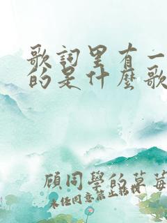 歌词里有一个人的是什么歌