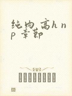 纯肉 高h np 章节