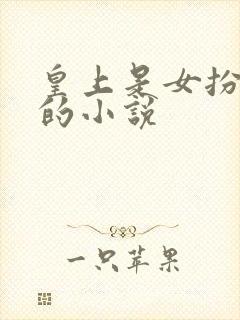 皇上是女扮男装的小说