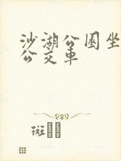 沙湖公园坐几路公交车