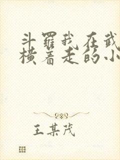 斗罗我在武魂殿横着走的小说