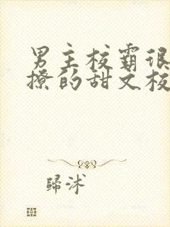 男主校霸很痞很撩的甜文校园