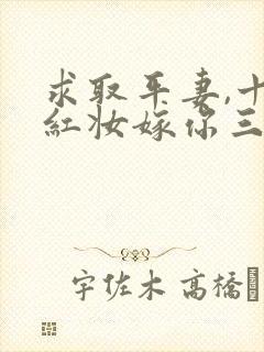 求取平妻,十里红妆嫁你三叔